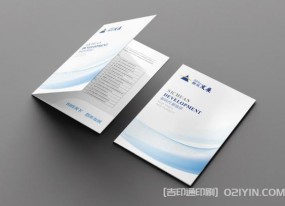 企業(yè)發(fā)展封套設(shè)計印刷