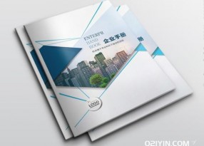 2023年企業(yè)畫冊印刷 