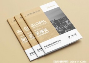 金融保險行業畫冊設計印刷