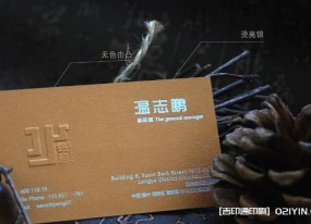 珠光紙燙各色金工藝名片