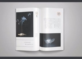 上海產品畫冊印刷注重穩中求變