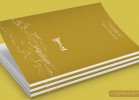 企業樣本在品牌推廣方面的優勢