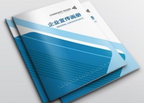 2023年企業(yè)宣傳畫冊印刷