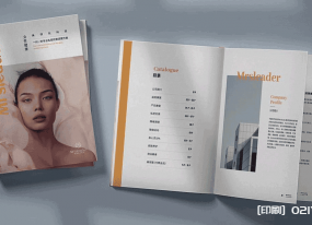上海整形醫療畫冊印刷