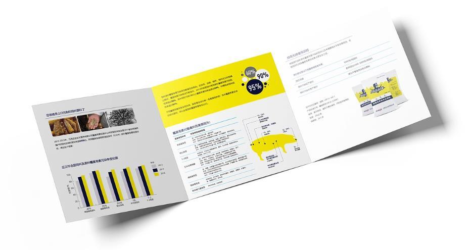 上海會展三折頁<strong>印刷</strong> | 展會宣傳冊 | 現場物料支持